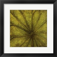Framed Palm Green