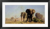 Framed Ivory Is Theirs