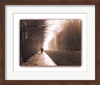Framed Park at Versailles