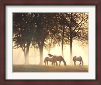 Framed Horses in the Mist
