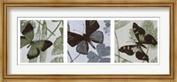 Framed Meadow Triptych