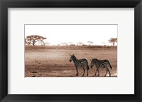 Framed Crossing The African Plains