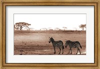 Framed Crossing The African Plains