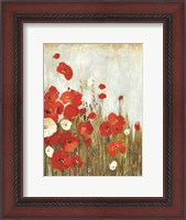 Framed Poppie in the Wind