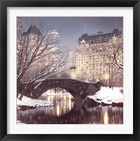 Framed Twilight in Central Park
