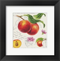 Framed Peach With Nectarine
