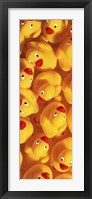 Framed Quack Quack III