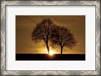 Framed New Beginning