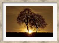 Framed New Beginning