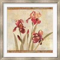 Framed Iris Tapestry I