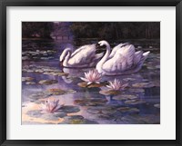 Framed Swans and Bridge