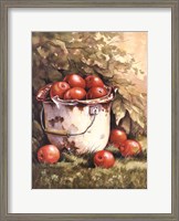 Framed Pail of Apples