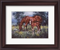 Framed Horse and Foal