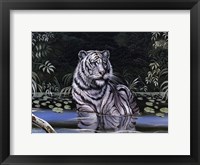 Framed Wading White Tiger