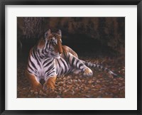 Framed Tiger's Lair