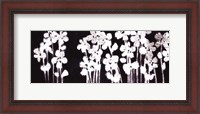 Framed White Flowers on Black I