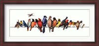 Framed Large Bird Menagerie