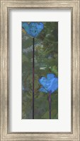 Framed Teal Poppies III