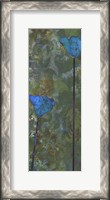 Framed Teal Poppies IV