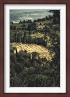 Framed Tuscan Vineyard