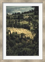 Framed Tuscan Vineyard