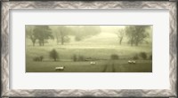 Framed English Countryside VI