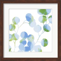 Framed Blue Plums II