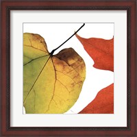 Framed Inflorescent Leaves I