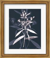 Framed Jewel Stems I