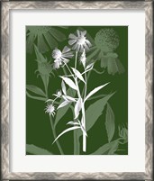 Framed Jewel Stems III