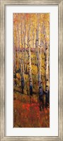 Framed Vivid Birch Forest I