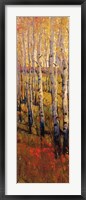 Vivid Birch Forest I Framed Print