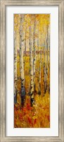 Framed Vivid Birch Forest II