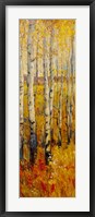 Framed Vivid Birch Forest II