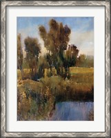 Framed Sunkissed Field I