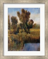 Framed Sunkissed Field I
