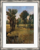 Framed Sunkissed Field II