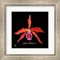 Framed Vivid Orchid II