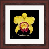 Framed Vivid Orchid VII