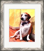 Framed Being a Beagle