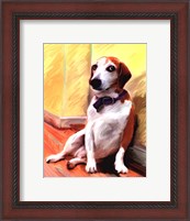 Framed Being a Beagle