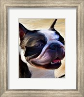 Framed Boston Big