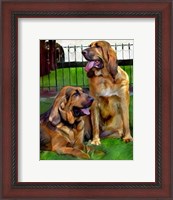 Framed Bloodhounds