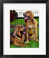 Framed Bloodhounds