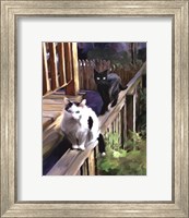 Framed Cats Fencing