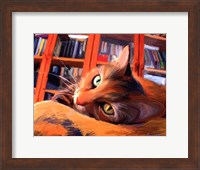 Framed Kitty that Reads