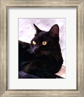 Framed Black Cat Portrait