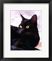 Framed Black Cat Portrait