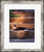 Framed Trouble Cat
