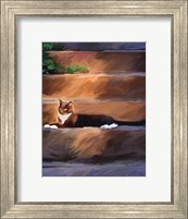Framed Trouble Cat